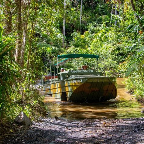 Cape Tribulation Wildlife Tour