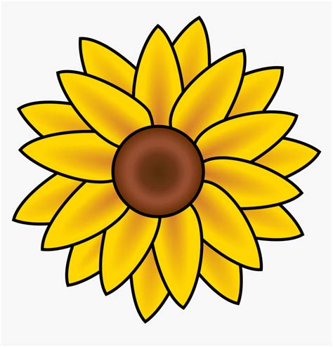 Simple Sunflower Drawing Easy Hd Png Download Transparent Png Image