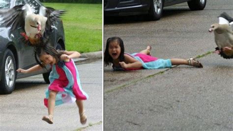5 Year Old Gets Attacked By Goose And Her Big Sister Tweets Pictures