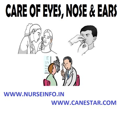 Care Of The Eyes Nose And Ears Nurse Info