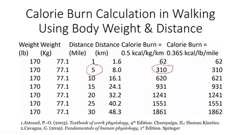 Calorie Burn Calculation In Walking Using Body Weight Distance YouTube
