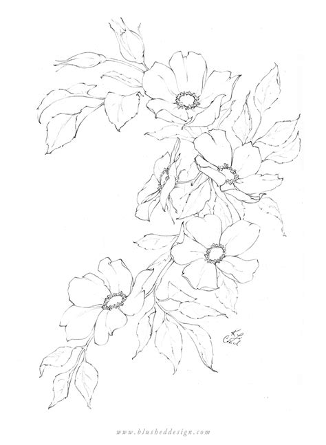 We did not find results for: Flower Drawings - Spring 2019 — Blushed Design | Flower ...