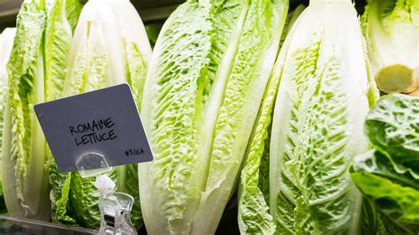 Romaine Lettuce E Coli Outbreak ‘appears To Be Over Cdc Says Fox News