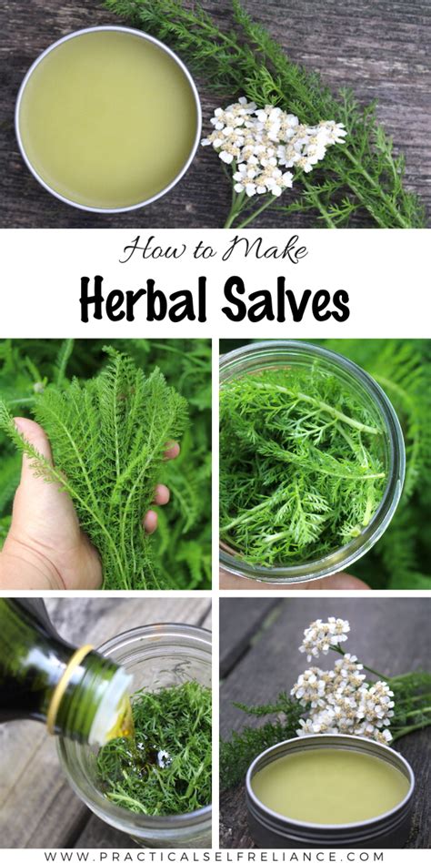 How To Make A Herbal Healing Salve In 2020 Herbal Medicine Recipes