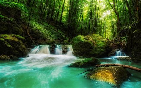 Landscape Nature Waterfall Forest Rock Sunlight Green