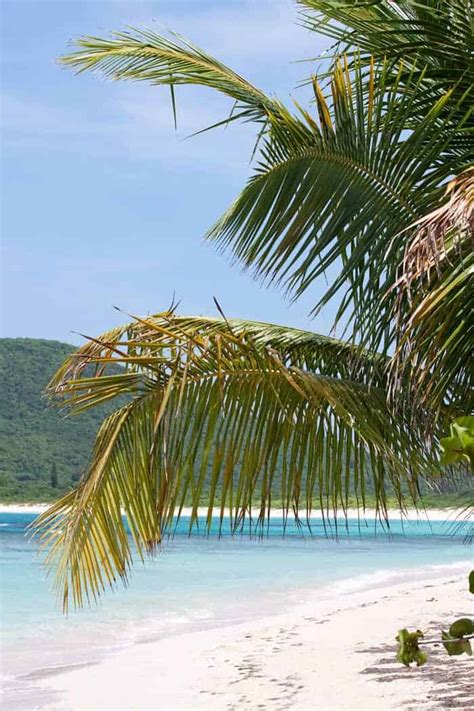 Isla De Culebra Puerto Rico Travel Guide Vagrants Of The World Travel