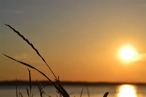 Free Images Sea Water Nature Horizon Light Sky Sun Sunrise