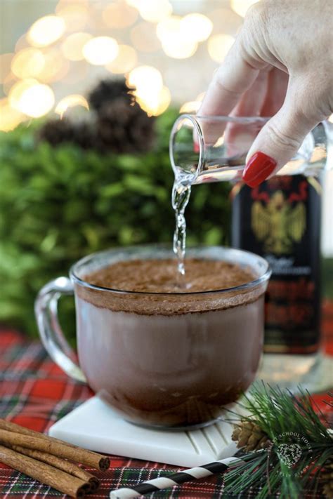 Spiked Peppermint Hot Chocolate