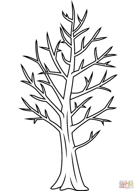 Bare Tree Coloring Page Free Printable Coloring Pages