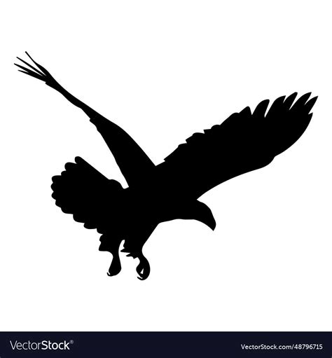 Eagle Landing Silhouette Royalty Free Vector Image