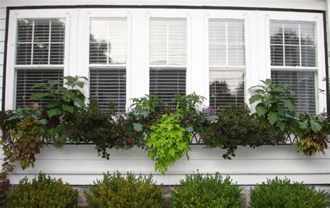 Exercise your green thumb with window boxes, hanging baskets or railing planters around the house. Ideas for a French Country Garden - Windowbox.com Blog