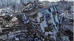 A Tale Of Resilience Rising From Tragedy At Plainview