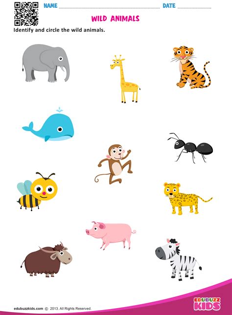 Wild Animals Animal Worksheets Animal Activities For Kids Preschool