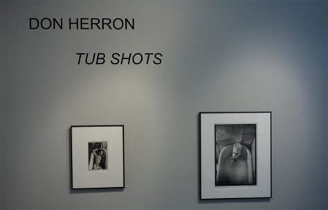 Artists Don Herron Collector Daily