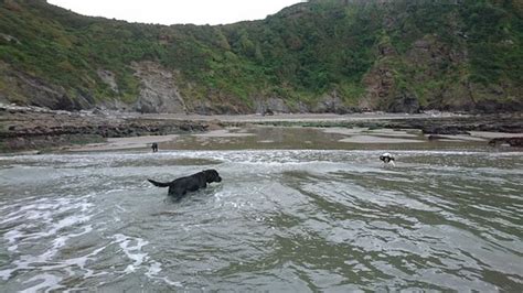 Wild Pear Beach Combe Martin Updated 2020 All You Need To Know