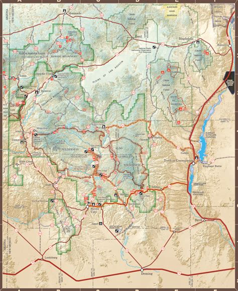 Gila National Forest Apache Creek Campground Birding Hotspots