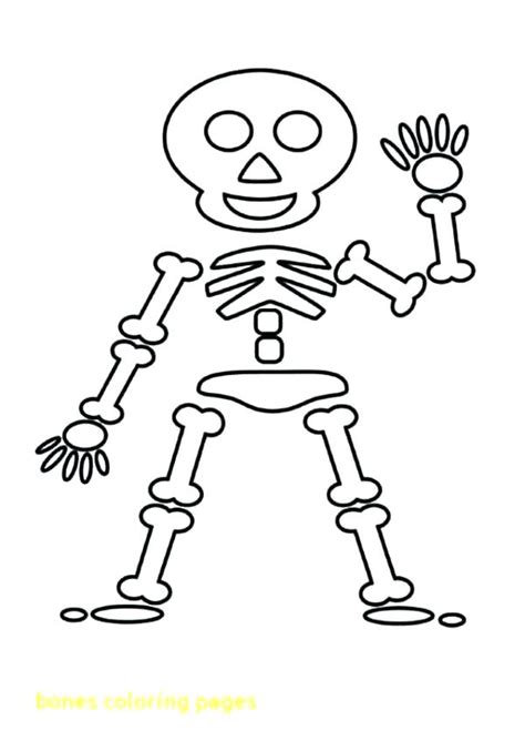 Human Skeleton Coloring Pages At Free Printable