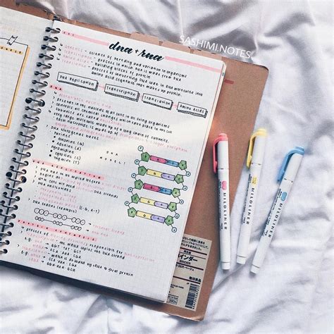 𝐩𝐚𝐢𝐠𝐞 On Instagram Just Sum Old Science Notes 🧬 Yo I Had Like
