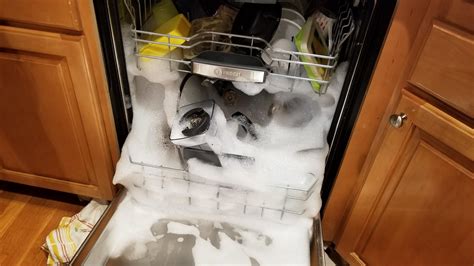 If you put regular dish soap in a dishwasher, stop the cycle immediately and thoroughly rinse the appliance. Can you put regular dish soap in a dishwasher ...