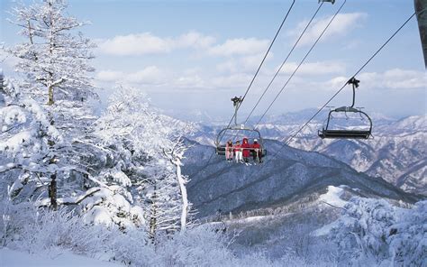 Click here for the snow guide korea guide to visiting seoul in winter (sights, nightlife, museums, outdoors, etc). Why Ski in South Korea? l Host of the 2018 Winter Olympic ...