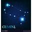 The Gemini Zodiac Sign Of Beautiful Bright Vector Image