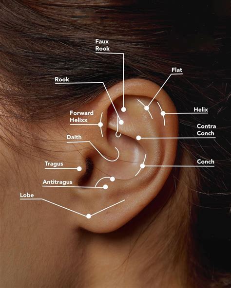 Bar Ear Piercing Triple Ear Piercing Unique Ear Piercings Ear Piercings Chart Types Of Ear