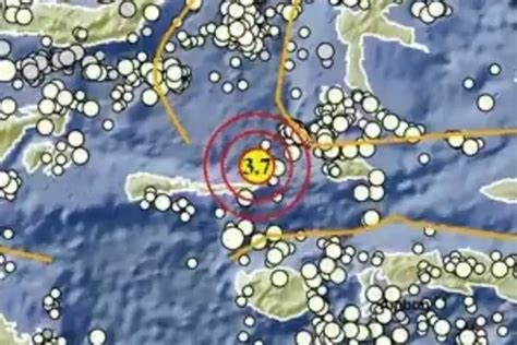 Baca Info Bmkg Gempa Bumi Hari Ini Terjadi Di Sanana Malut Portal Tebo