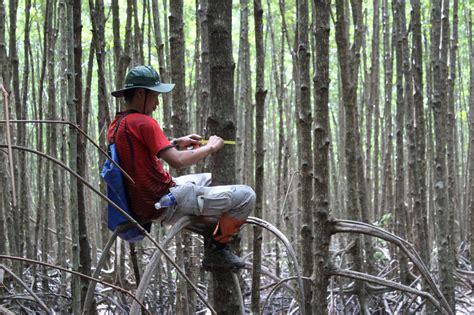 Forest Monitoring Skills On The Rise Cifor Icraf Forests News
