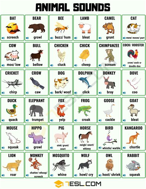 Animal Sounds List Of Different Animal Sounds With Pictures • 7esl