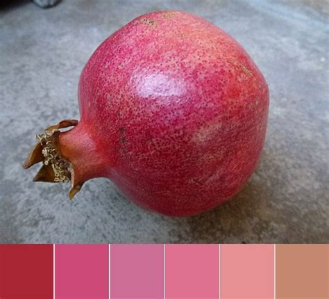 Color Palette Pomegranate Kate Pitner Designs