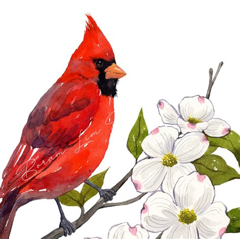 North Carolina State Bird Print Cardinal Wall Art Dogwood Etsy
