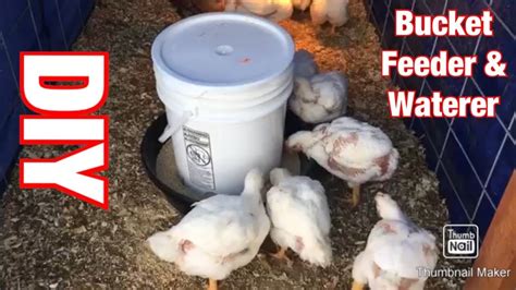 Easy And Cheap Diy Homemade 5 Gallon Bucket Chicken Feeder And Waterer
