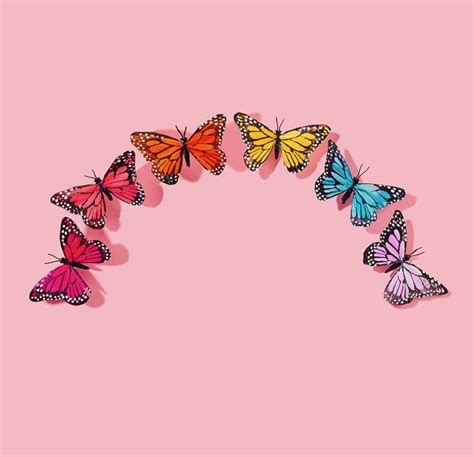 Wallpaper Butterfly Aesthetic Tumblr Download Free Mock Up