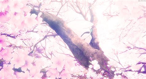 Anime Cherry Blossom Wallpaper  Cherry Blossom Petals Falling 