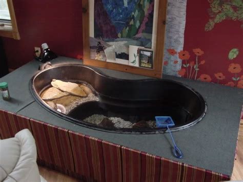 See more ideas about indoor pond, backyard, garden design. turtle pond diy - Google Search | For the Yard | Pinterest | Turtle pond, Turtle and Turtle habitat