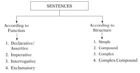 What Is Sentence Its Structure And Types Of Sentence