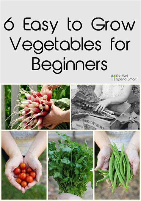 What To Grow In A Beginner Vegetable Garden Easy Vegetables To Grow