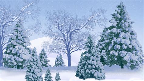 Winter Forest Hd Wallpaper Background Image 1920x1080