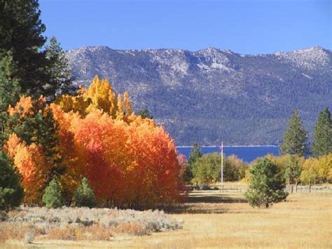 Fall Colors At Tahoe South Picture Of Lake Tahoe Nevada Nevada