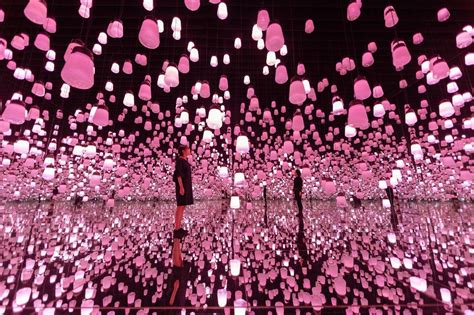 immersive “cherry blossom” installation lets you get lost in an endless sea of pink