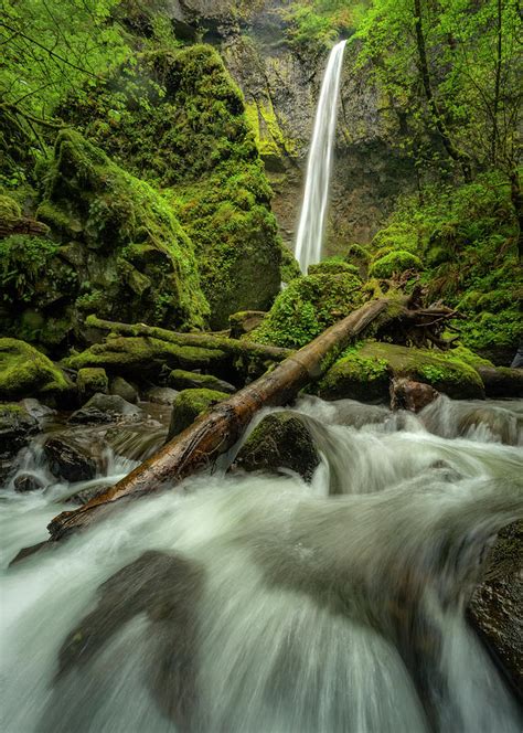 Elowah Falls Photograph By David Desrochers Fine Art America