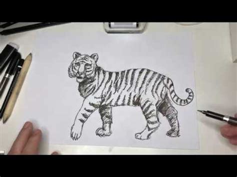 Come Disegnare Una Tigre Tutorial Youtube