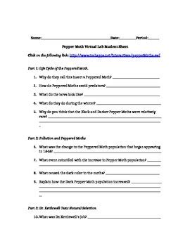 Free interactive exercises to practice online or download as pdf to print. Pepper Moth Virtual Lab Student Worksheet: NGSS MS-LS4-4 by Do Well Lessons