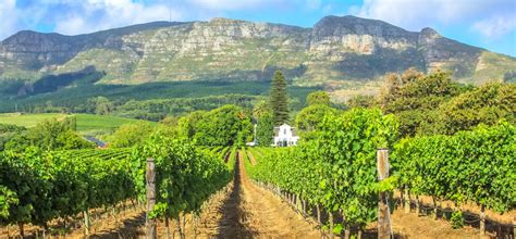 South Africa Cape Town Wine And Whales Holidays 2019