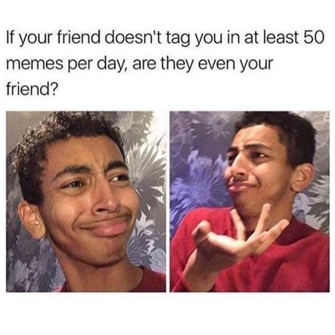 If Your Friend Doesnt Tag You In At Least 50 Memes Per Day Are They