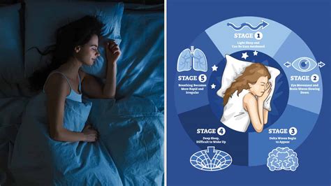 Sleep Scientist Explains Ways Deep Sleep Improves Health Power Of Positivity Positive