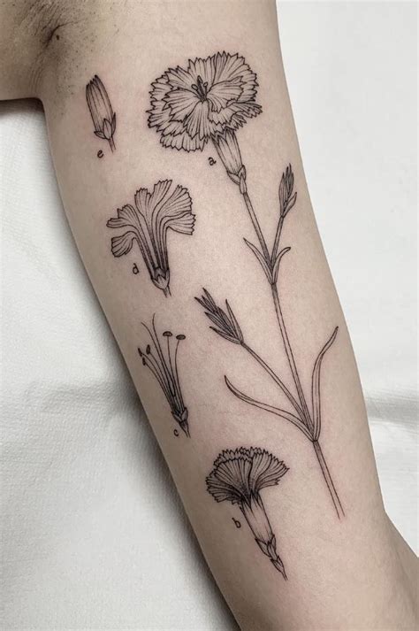 Botanical Tattoo Get An Inkget An Ink Botanical Tattoo Body Art