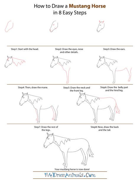 How To Draw A Mustang Horse Step By Step