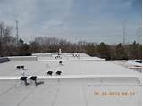 Pictures of Csr Roofing Chicago