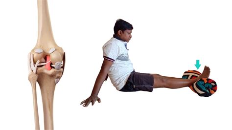 7 Best Knee Ligament Injury Treatment Exercises Physiosunit